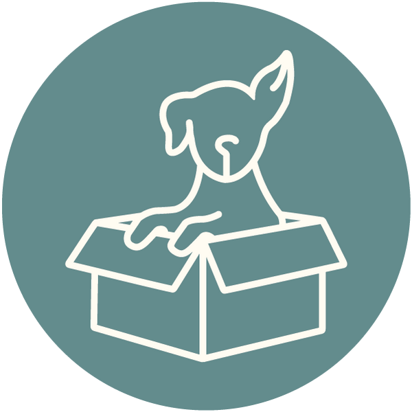 Movimento de Intervenção pelas Matilhas